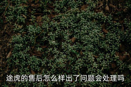 途虎的售后怎么樣出了問題會處理嗎