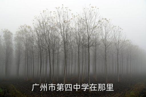 廣州市第四中學(xué)，廣州市第四中學(xué)在那里