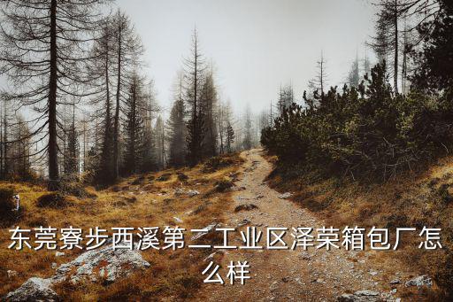 東莞寮步西溪第二工業(yè)區(qū)澤榮箱包廠怎么樣