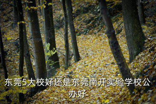 東莞5大校好還是東莞南開實驗學校公辦好