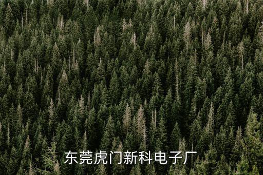 東莞新科電子廠，東莞虎門新科電子廠