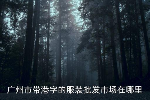 廣州市帶港字的服裝批發(fā)市場在哪里