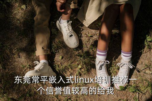 東莞常平嵌入式linux培訓推薦一個信譽值較高的給我