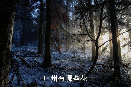 廣州有哪些花