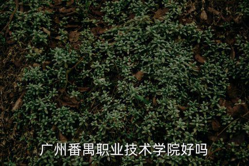 廣州番禺職業技術學院好嗎