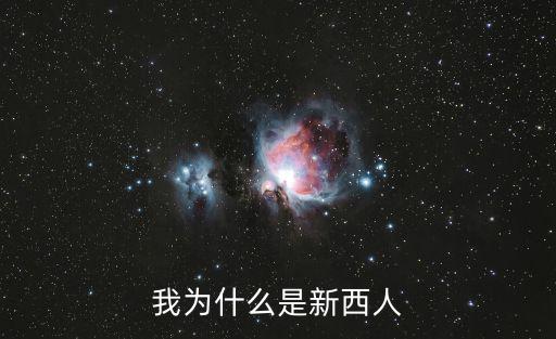我為什么是新西人