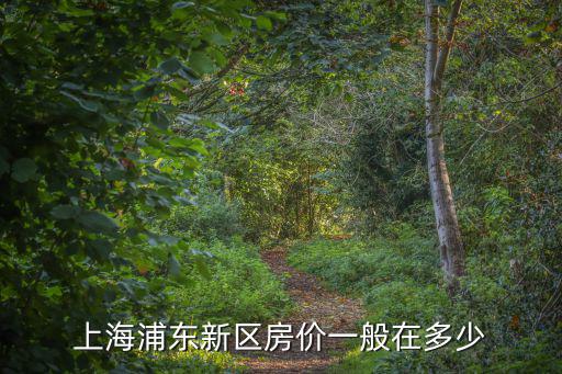 上海浦東新區房價一般在多少