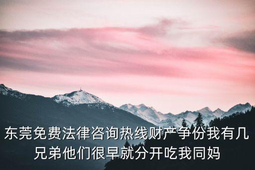 東莞免費(fèi)法律咨詢熱線財(cái)產(chǎn)爭(zhēng)份我有幾兄弟他們很早就分開(kāi)吃我同媽