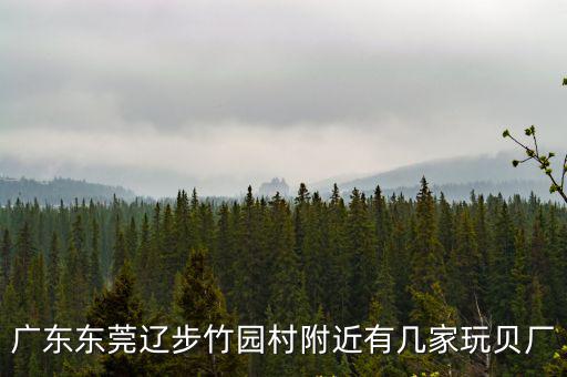 廣東東莞遼步竹園村附近有幾家玩貝廠