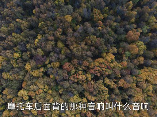 摩托車后面背的那種音響叫什么音響