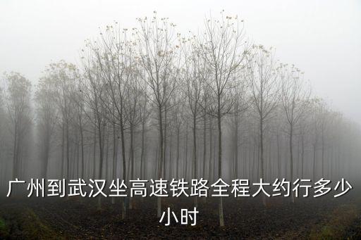 廣州到武漢坐高速鐵路全程大約行多少小時