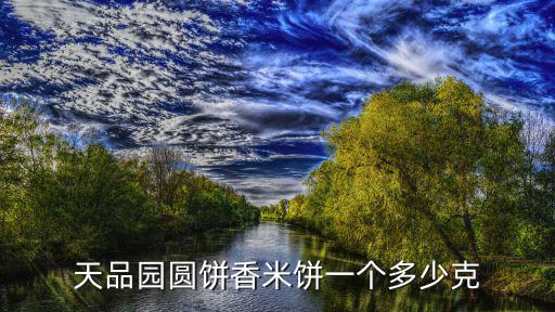 天品園圓餅香米餅一個多少克