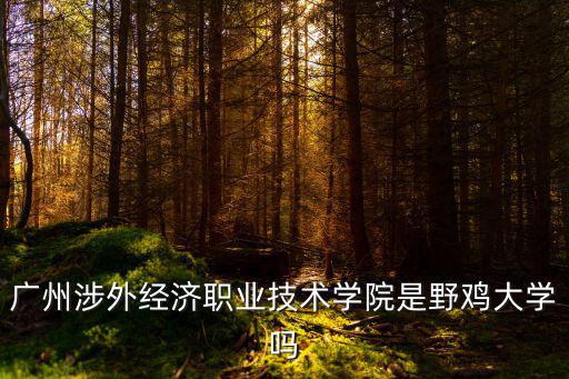 廣州涉外經濟職業技術學院是野雞大學嗎