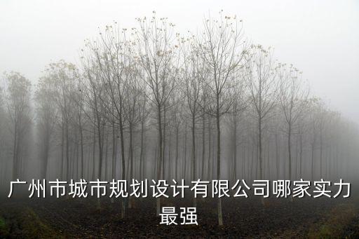 廣州市城市規劃設計有限公司哪家實力最強