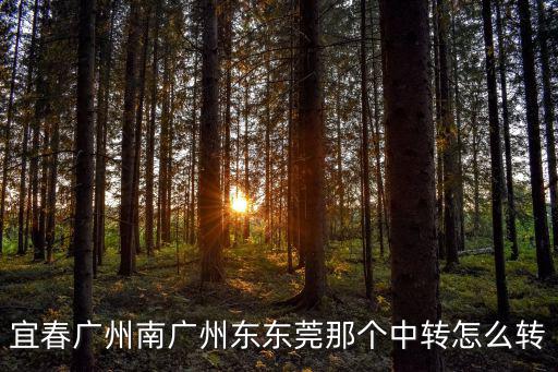 宜春廣州南廣州東東莞那個中轉(zhuǎn)怎么轉(zhuǎn)