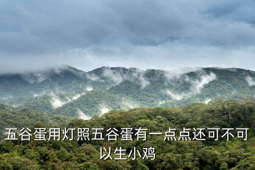 五谷蛋用燈照五谷蛋有一點點還可不可以生小雞