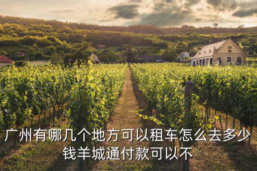 廣州有哪幾個地方可以租車怎么去多少錢羊城通付款可以不