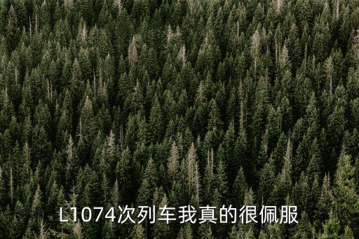 L1074次列車我真的很佩服
