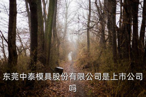東莞中泰模具股份有限公司是上市公司嗎
