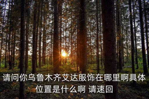 東莞市艾達服飾有限公司，請問你烏魯木齊艾達服飾在哪里啊具體位置是什么啊 請速回