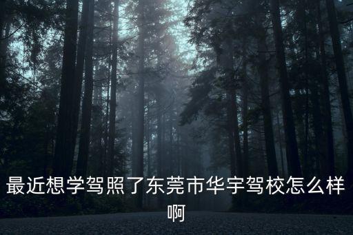 最近想學(xué)駕照了東莞市華宇駕校怎么樣啊