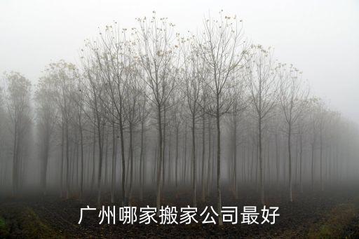 廣州人人搬家公司，廣州人人搬家公司電話多少打電話預(yù)約搬家有優(yōu)惠的嗎
