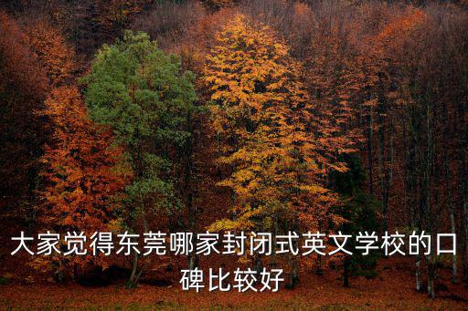大家覺得東莞哪家封閉式英文學校的口碑比較好