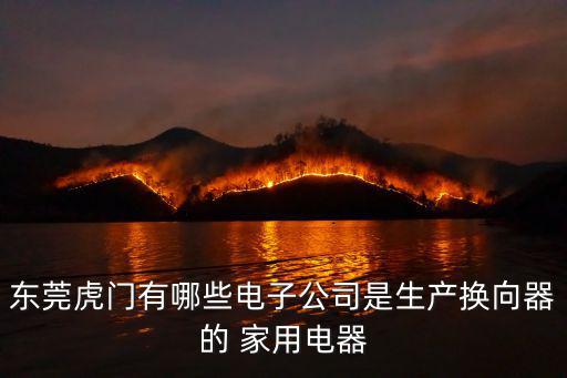 東莞虎門有哪些電子公司是生產換向器的 家用電器