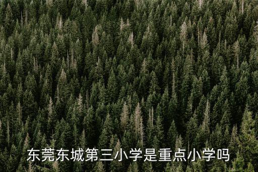 東莞東城第三小學是重點小學嗎