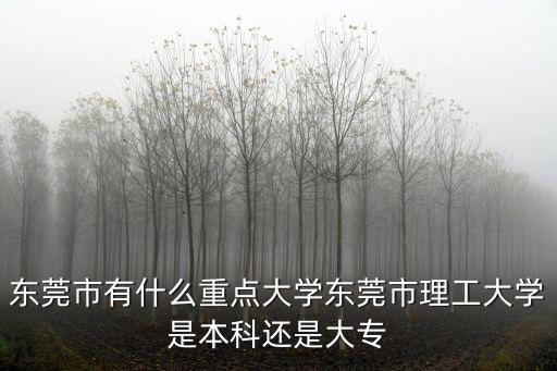 東莞市有什么重點大學東莞市理工大學是本科還是大專