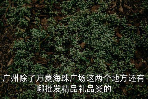 廣州除了萬菱海珠廣場(chǎng)這兩個(gè)地方還有哪批發(fā)精品禮品類的