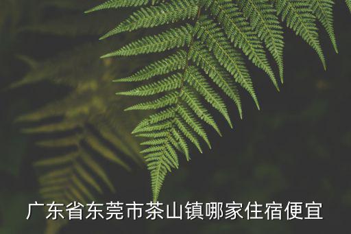 廣東省東莞市茶山鎮哪家住宿便宜