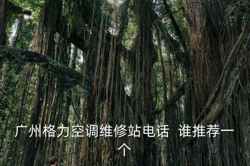 廣州格力空調維修站電話  誰推薦一個