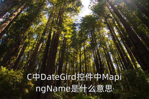 maping，ma ping 是什么字