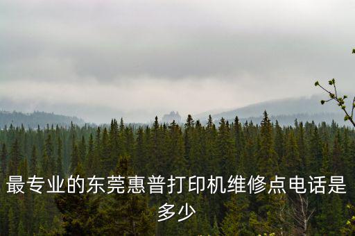 最專業的東莞惠普打印機維修點電話是多少