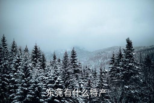 東莞有什么特產(chǎn)