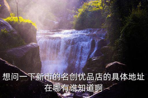 想問一下新市的名創優品店的具體地址在哪有誰知道啊
