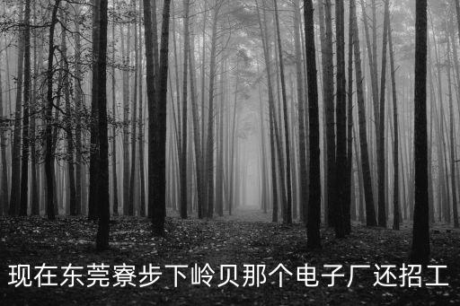 現在東莞寮步下嶺貝那個電子廠還招工