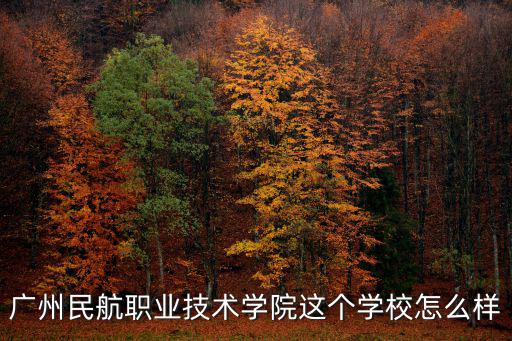 廣州民航職業技術學校，廣州民航職業技術學院這個學校怎么樣