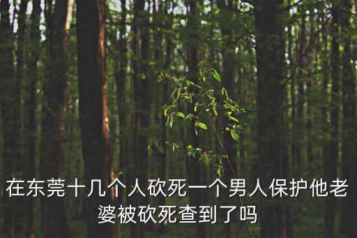 在東莞十幾個人砍死一個男人保護他老婆被砍死查到了嗎