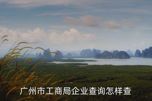 廣州市工商局企業(yè)查詢怎樣查