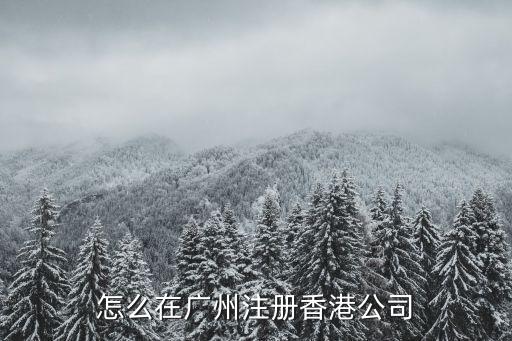 怎么在廣州注冊香港公司