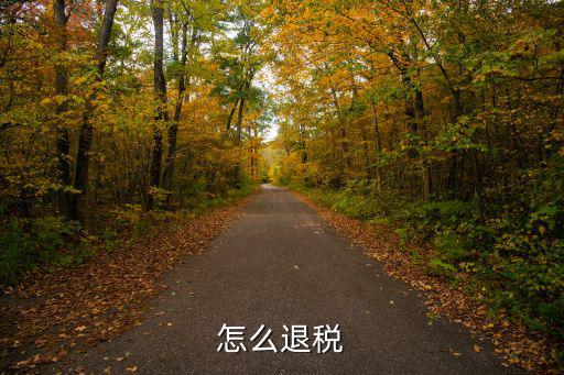 怎么退稅