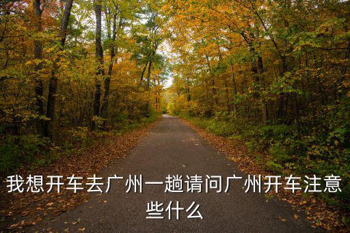 我想開車去廣州一趟請問廣州開車注意些什么