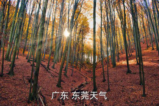 廣東 東莞天氣