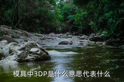 模具中3DP是什么意思代表什么