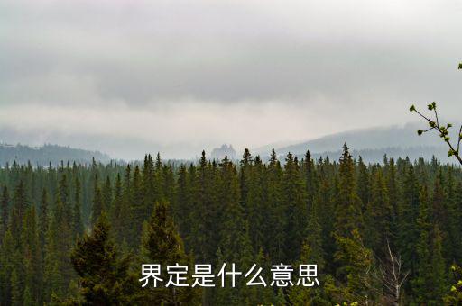 概念界定，概念的界定是放在論文的哪個部分