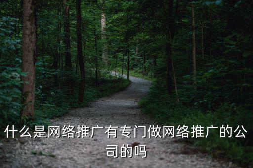 什么是網絡推廣有專門做網絡推廣的公司的嗎