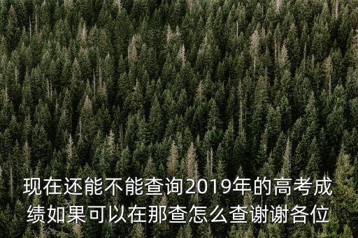現在還能不能查詢2019年的高考成績如果可以在那查怎么查謝謝各位