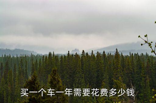 多少費用，買一個車一年需要花費多少錢